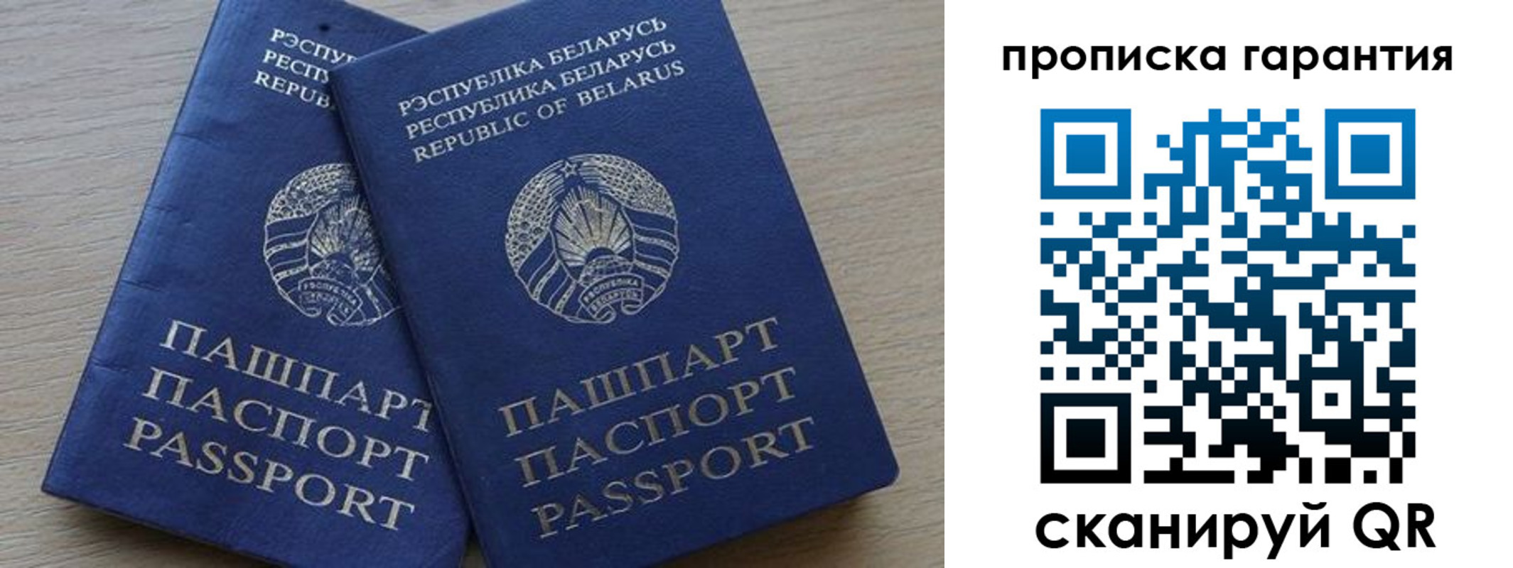 прописка гарантия в Светлогорске