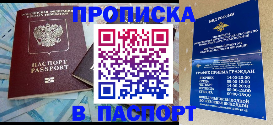 найти адрес прописки в Светлогорске